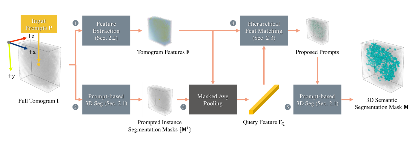 CryoSAM framework overview